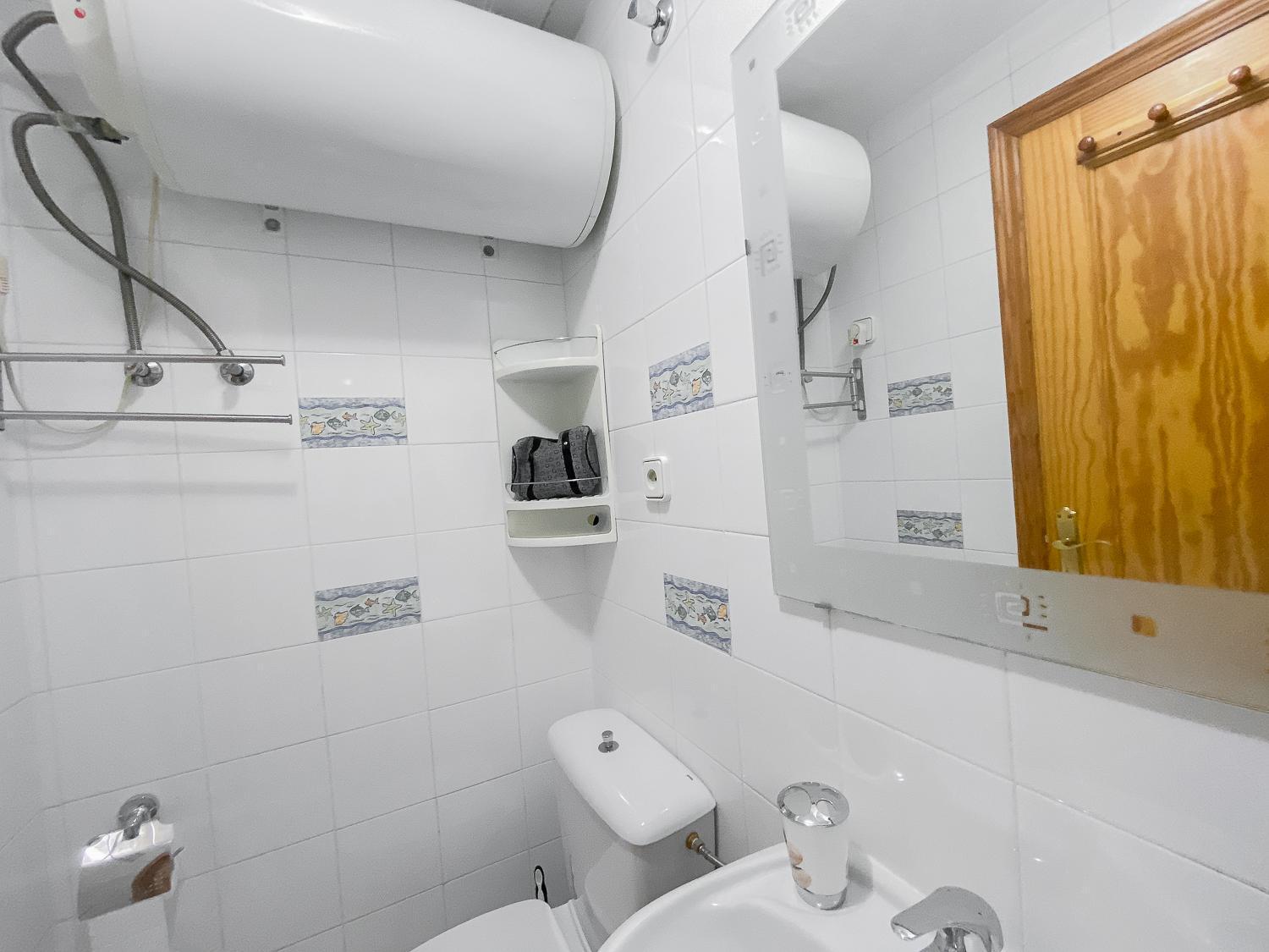Apartmán Estudio Plaza San Cristobal Alicante Exteriér fotografie